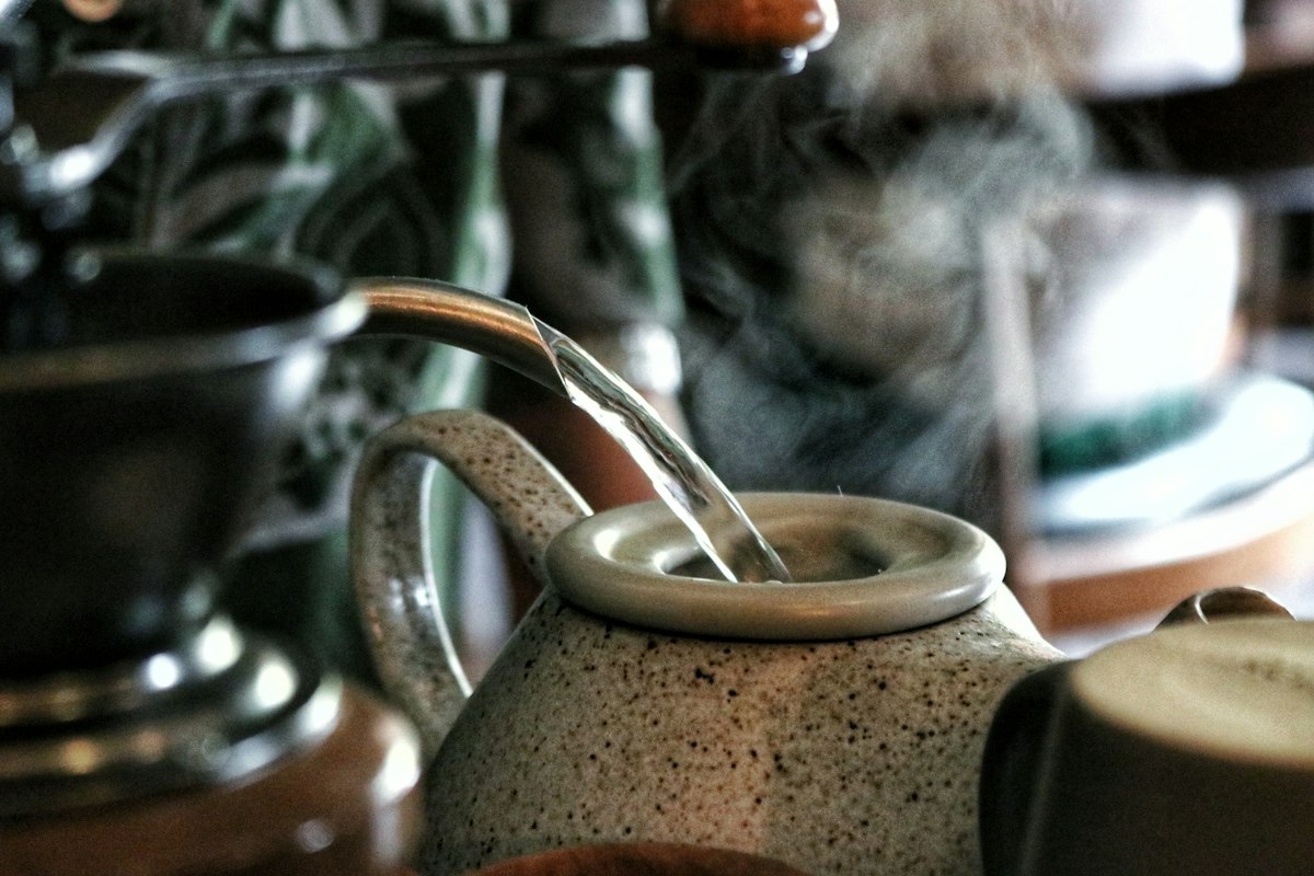 Aged pu-erh collection